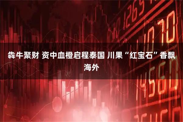 犇牛聚财 资中血橙启程泰国 川果“红宝石”香飘海外