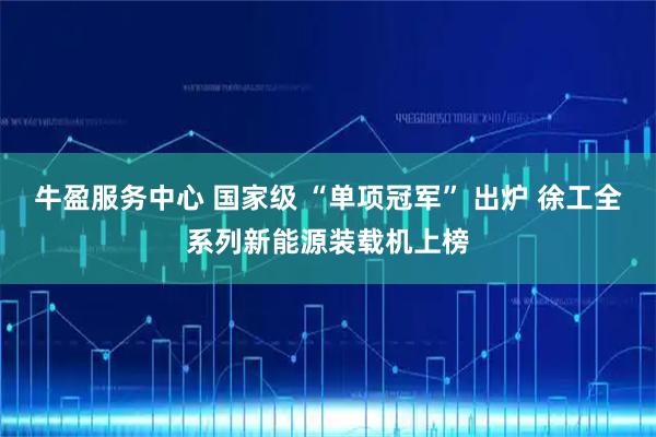 牛盈服务中心 国家级 “单项冠军” 出炉 徐工全系列新能源装载机上榜