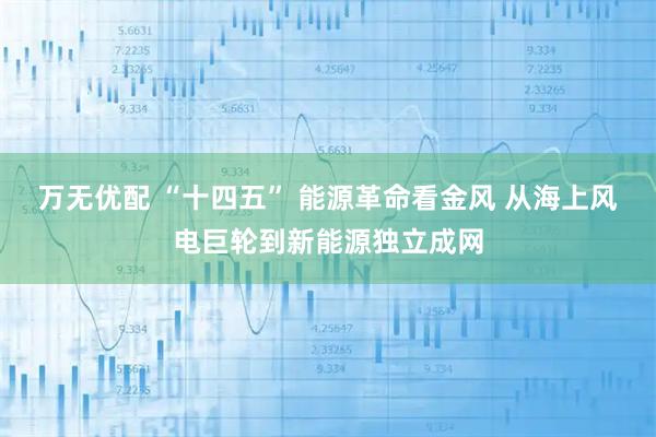 万无优配 “十四五” 能源革命看金风 从海上风电巨轮到新能源独立成网